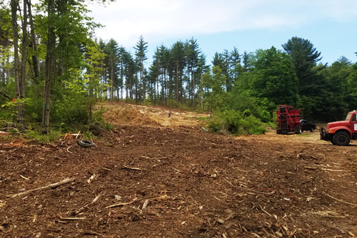 Land Clearing And Grubbing